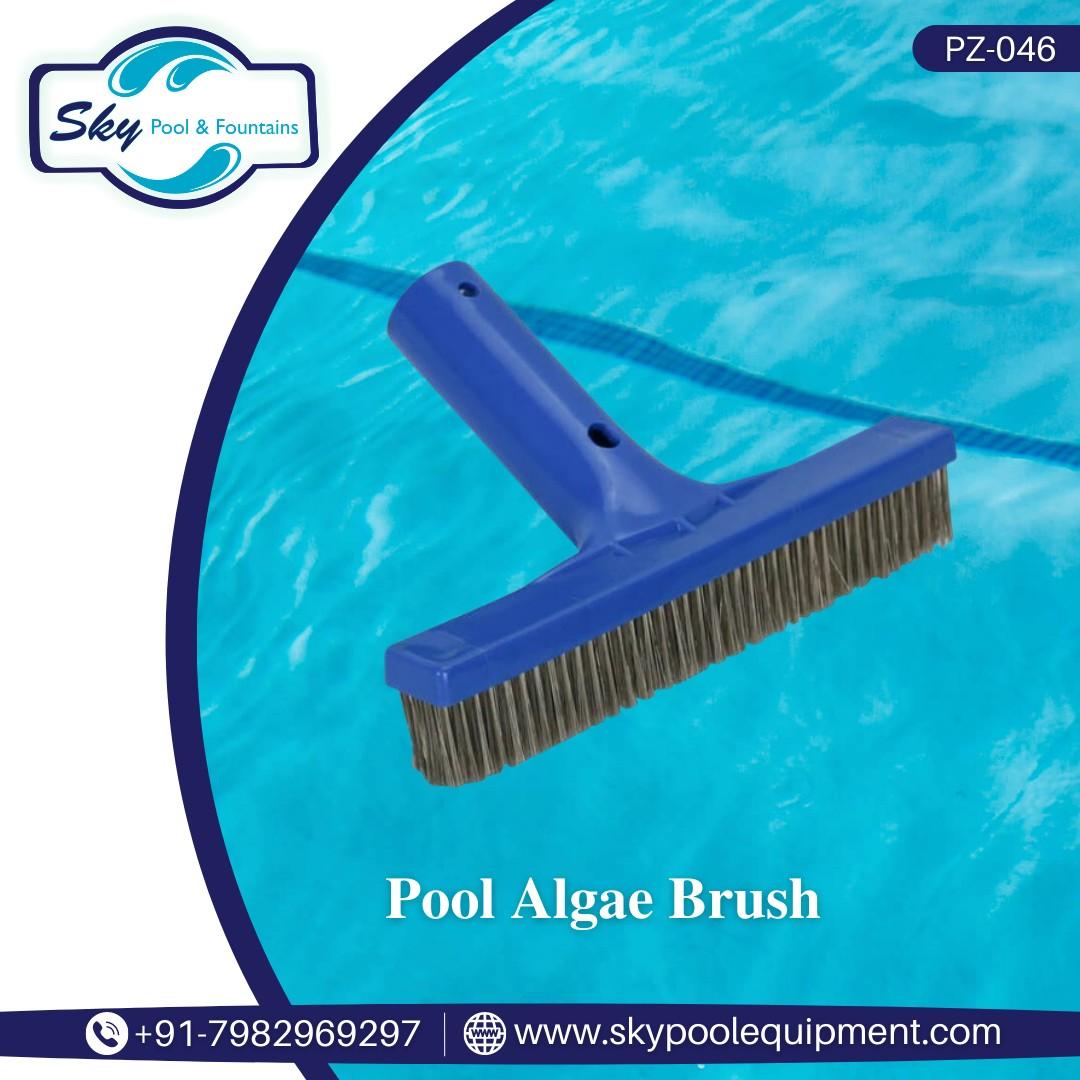 Pool Algae Brush